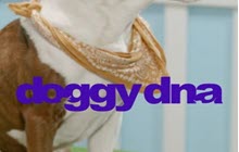 Doggy DNA logo.